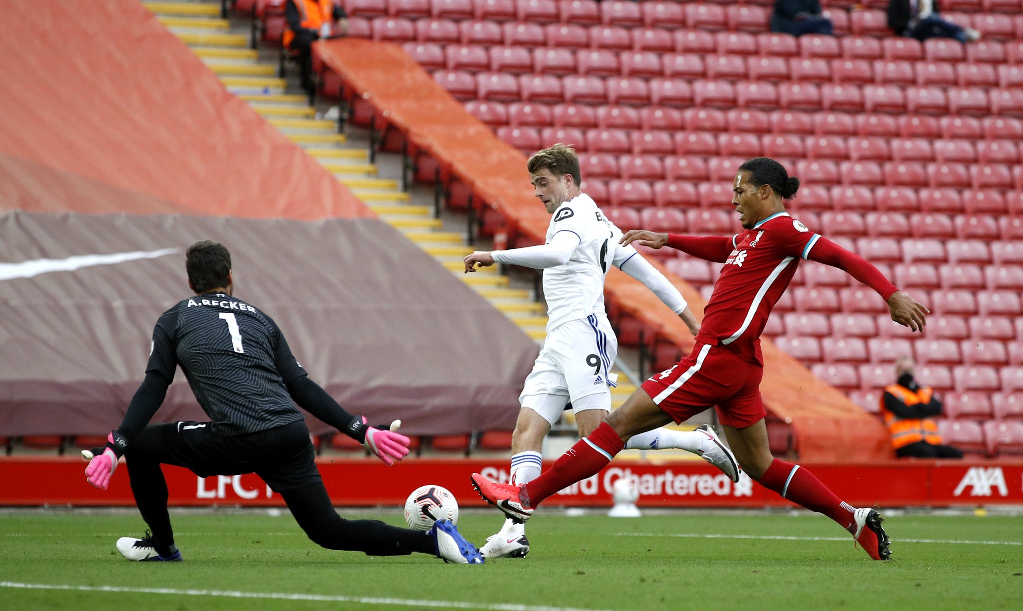 今夏尼科 今夏尼科